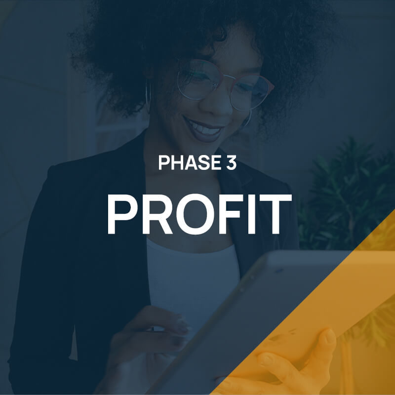 Phase 3: Profit