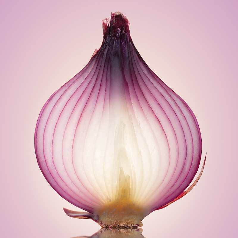 The Multi-Dimensional You: Holistic Growth and&hellip;